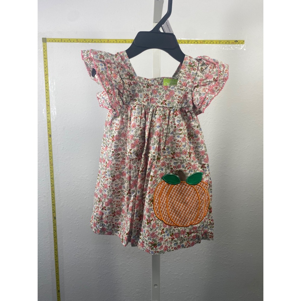 Classic Whimsy Girls Floral Pumpkin Applique Flutter Sleeve Cotton Dress Pink